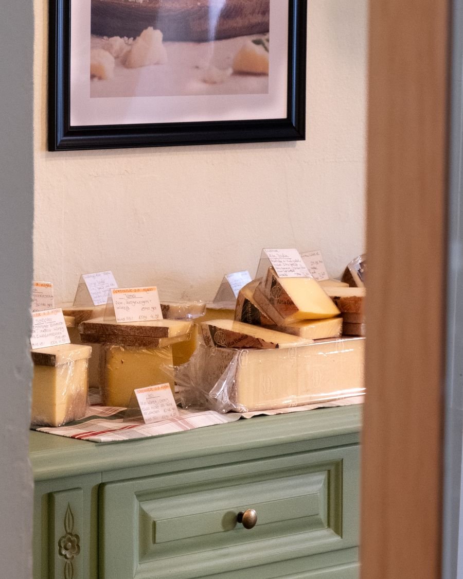 Käseauswahl auf dem grünen Schrank im Käsladen